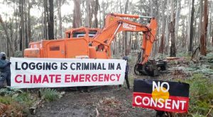 Protest against logging at Djab Wurrung Heritage Protection Embassy. "Logging is Criminal" banner.