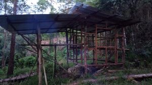 Rustic shelter under construction. Land Project, Feral Crust, and Communal Living.